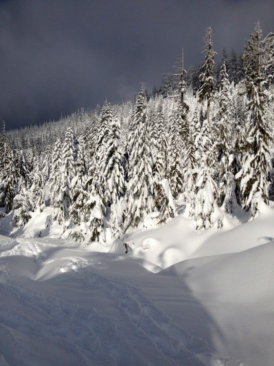 Before the clouds part....