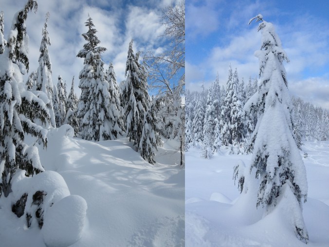 snowshoe blog photo 1