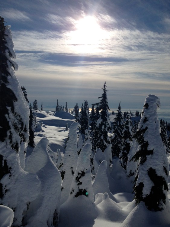 Looking into the sun