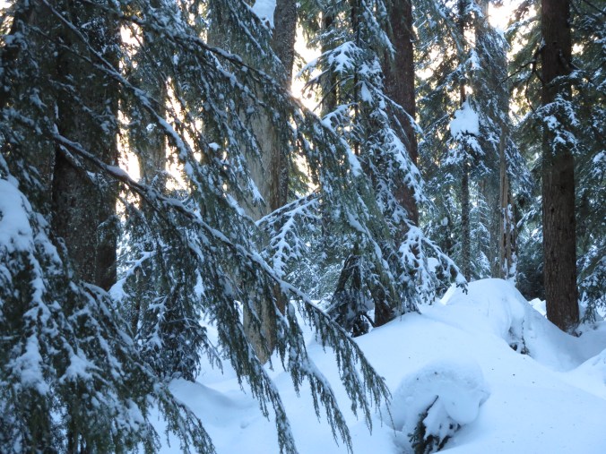 Winter light, photo by Scott