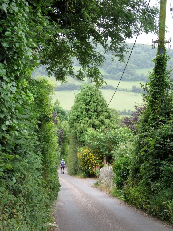 Small Blue Planet Post Country Lane