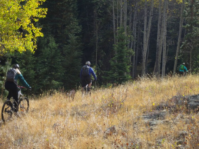 Mountain biking, Merritt mountain biking near Merritt