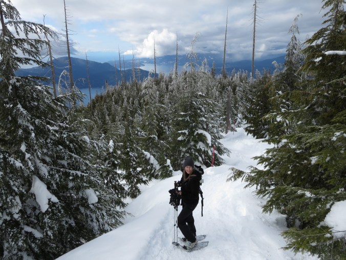 Snowshoeing Cypress Mountain