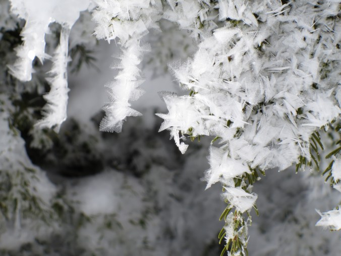 snow crystals