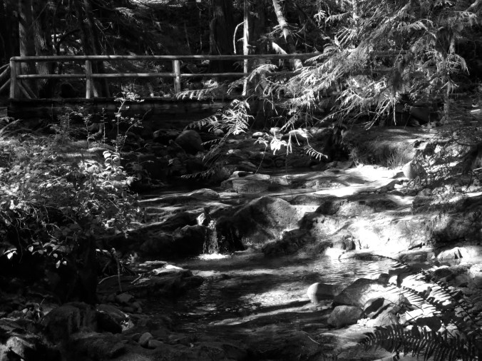 Bridge crossing a stream 