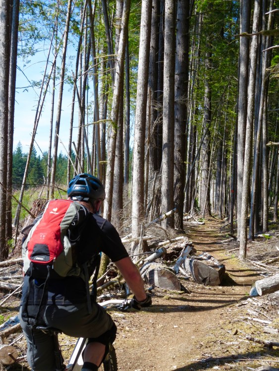 MTB trails, Duck Lake area
