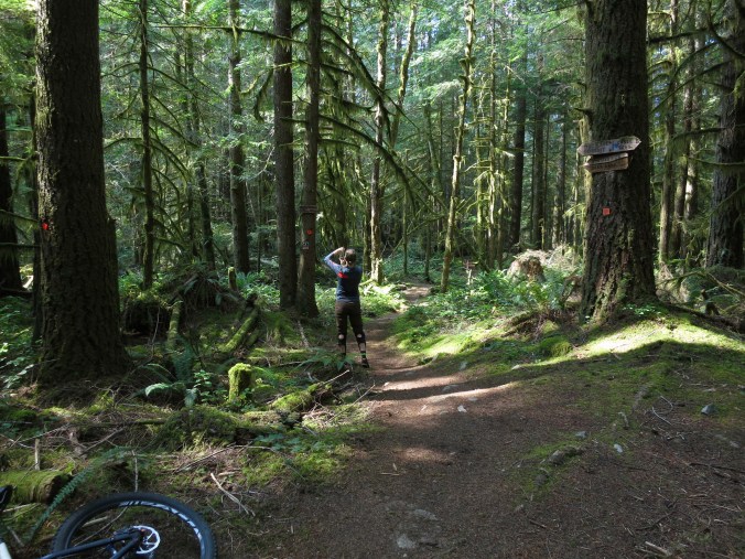 MTB trails, Powell River