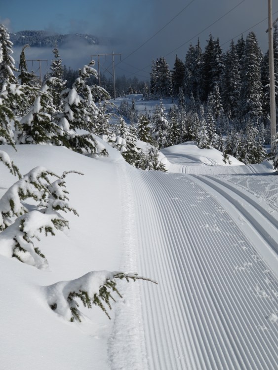 cross country trails