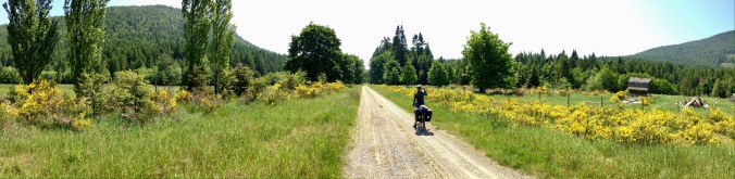 An open valley on the Cowichan Valley Trail, part of the Trans Canada Trail