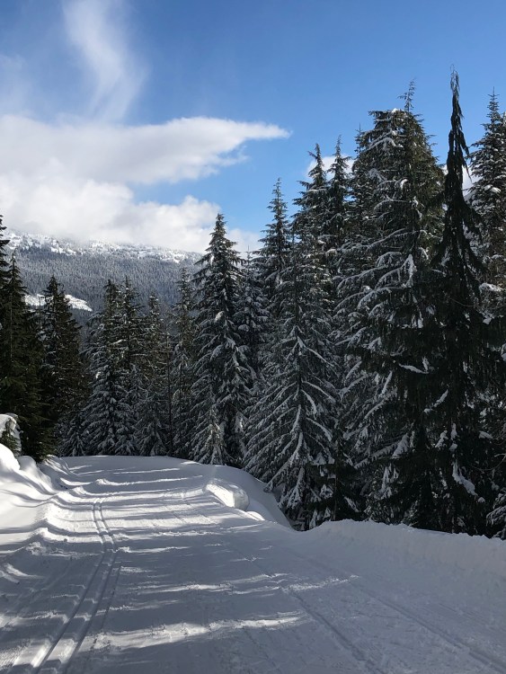 Cross country ski trails