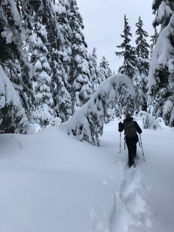 abundant snow for snowshoeing